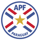 巴拉圭沙滩足球队 logo