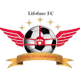 利佛费FC logo