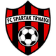 泰拿华斯巴达女足 logo