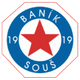 巴尼克苏 logo