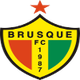 布鲁斯U20 logo